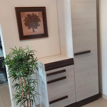 Apartment Svoboda *